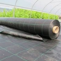YER SERGİLİĞİ-TABAN ÖRTÜSÜ SİYAH 200 CM-100 MT M2 75GR (KARGO DAHİL) YER SERGİLİĞİ-TABAN ÖRTÜSÜ SİYAH 200 CM-100 MT M2 75GR (KARGO DAHİL)